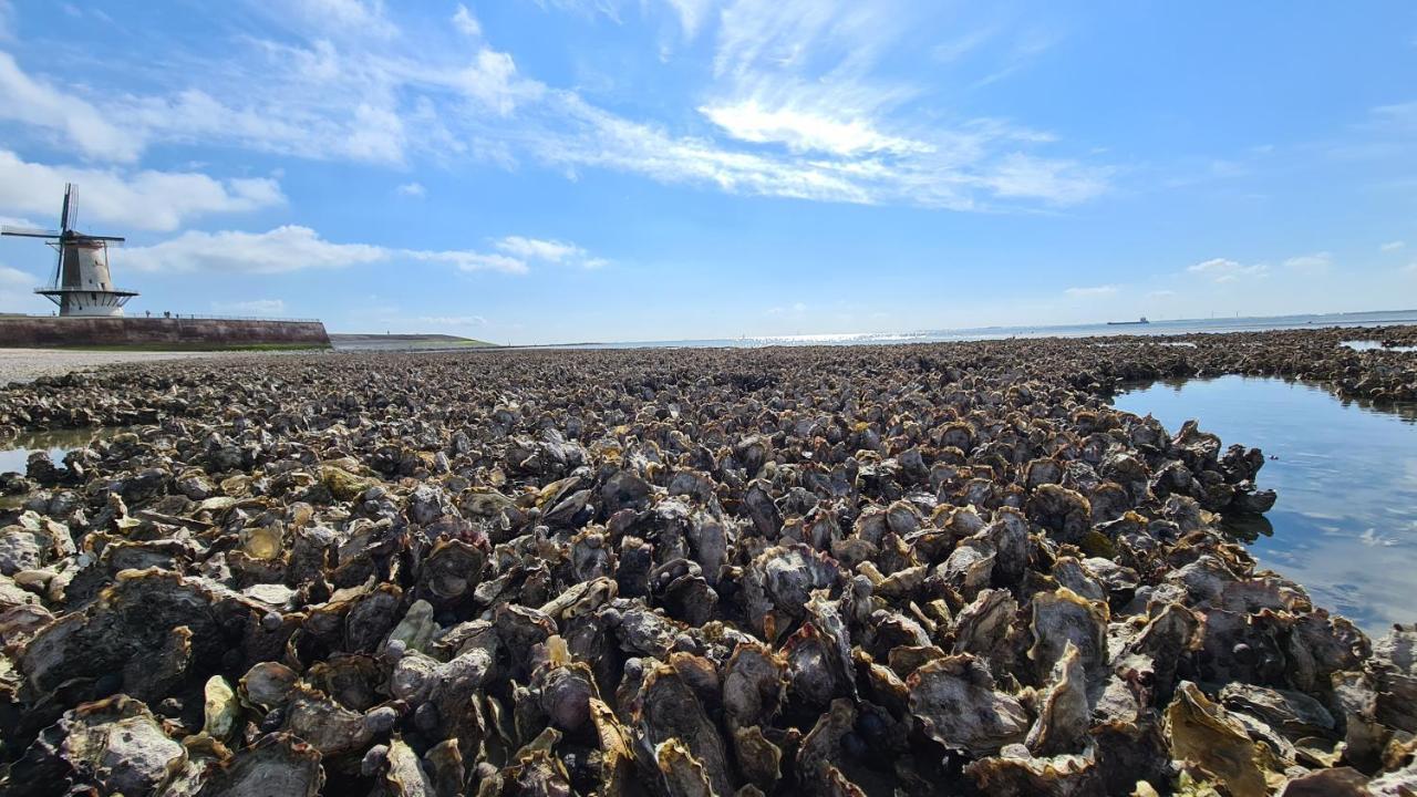 Appartement Havenzicht, Gelegen Aan Zee Met Zeezicht Vlissingen Bagian luar foto